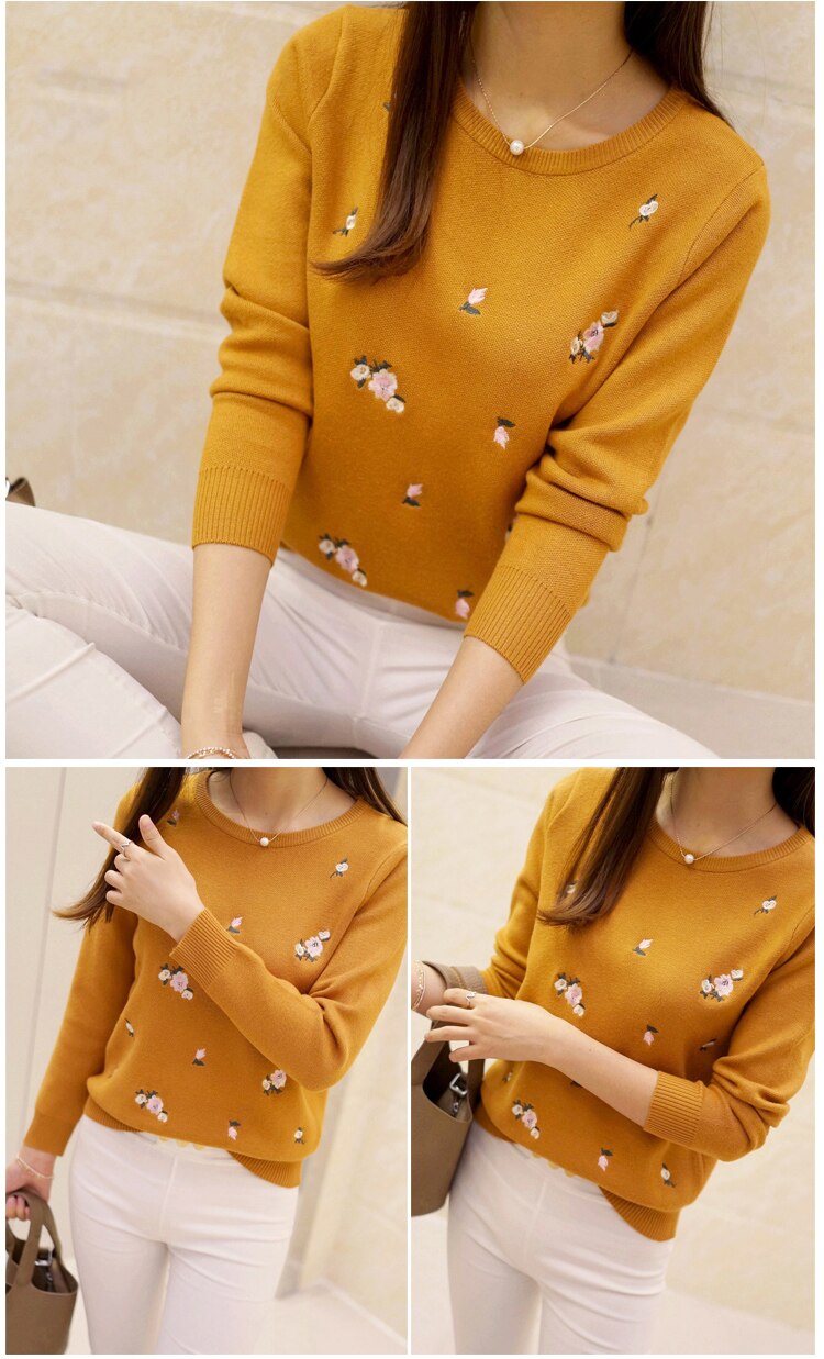 Sweater for Women (Minimum order 500 pieces each color & design)