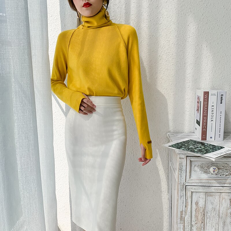 Winter Turtleneck for Women (Minimum order 500 pieces each color and design)