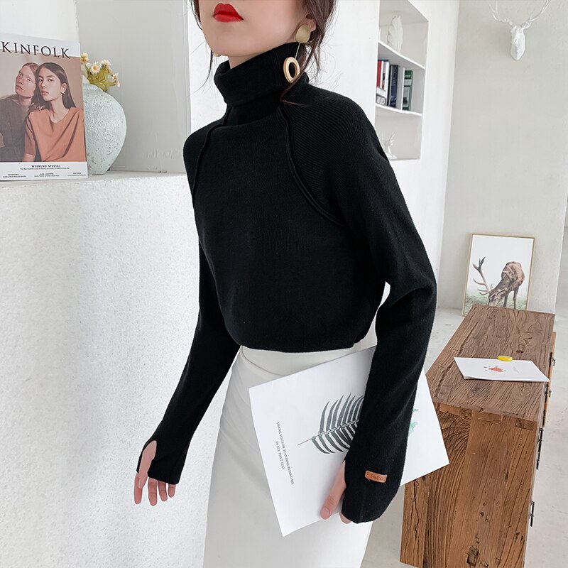 Winter Turtleneck for Women (Minimum order 500 pieces each color and design)