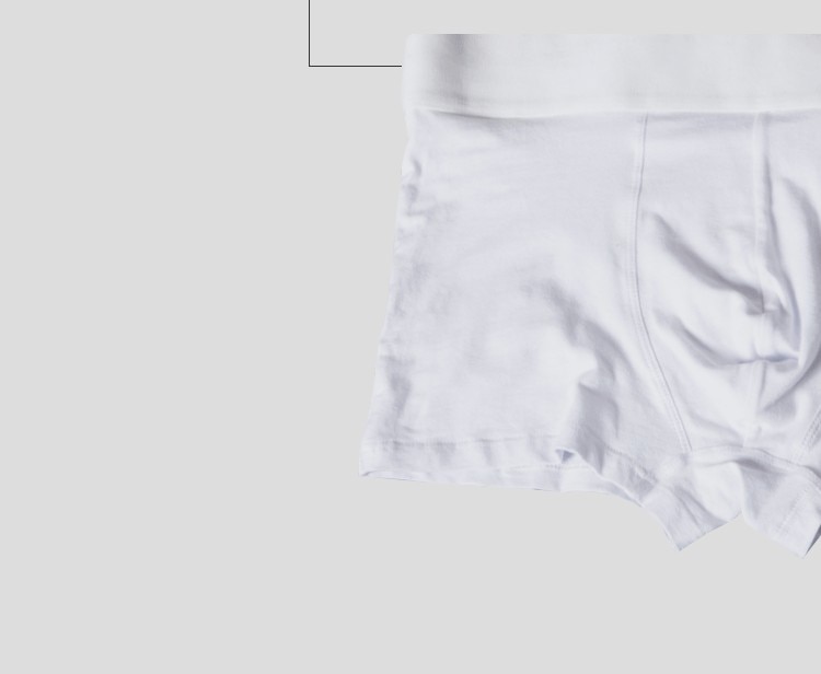 4pc/lot Boxershorts Men Boxers Male Underwear Man Panties Cotton Soft Short Boxer Mesh Mens Hombre Cueca Plus Size OR212